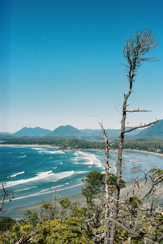Cox Bay Lookout