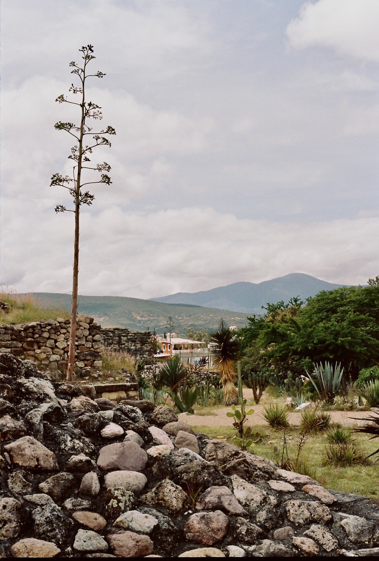 Oaxacan Landscape