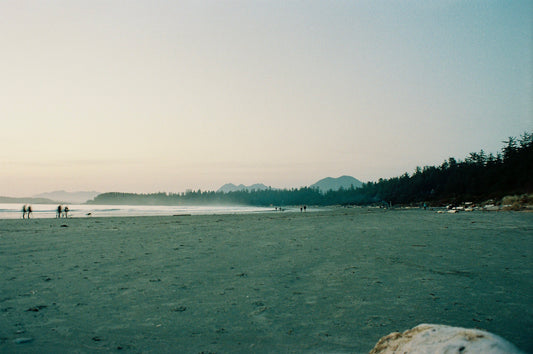 Moody Chesterman Beach