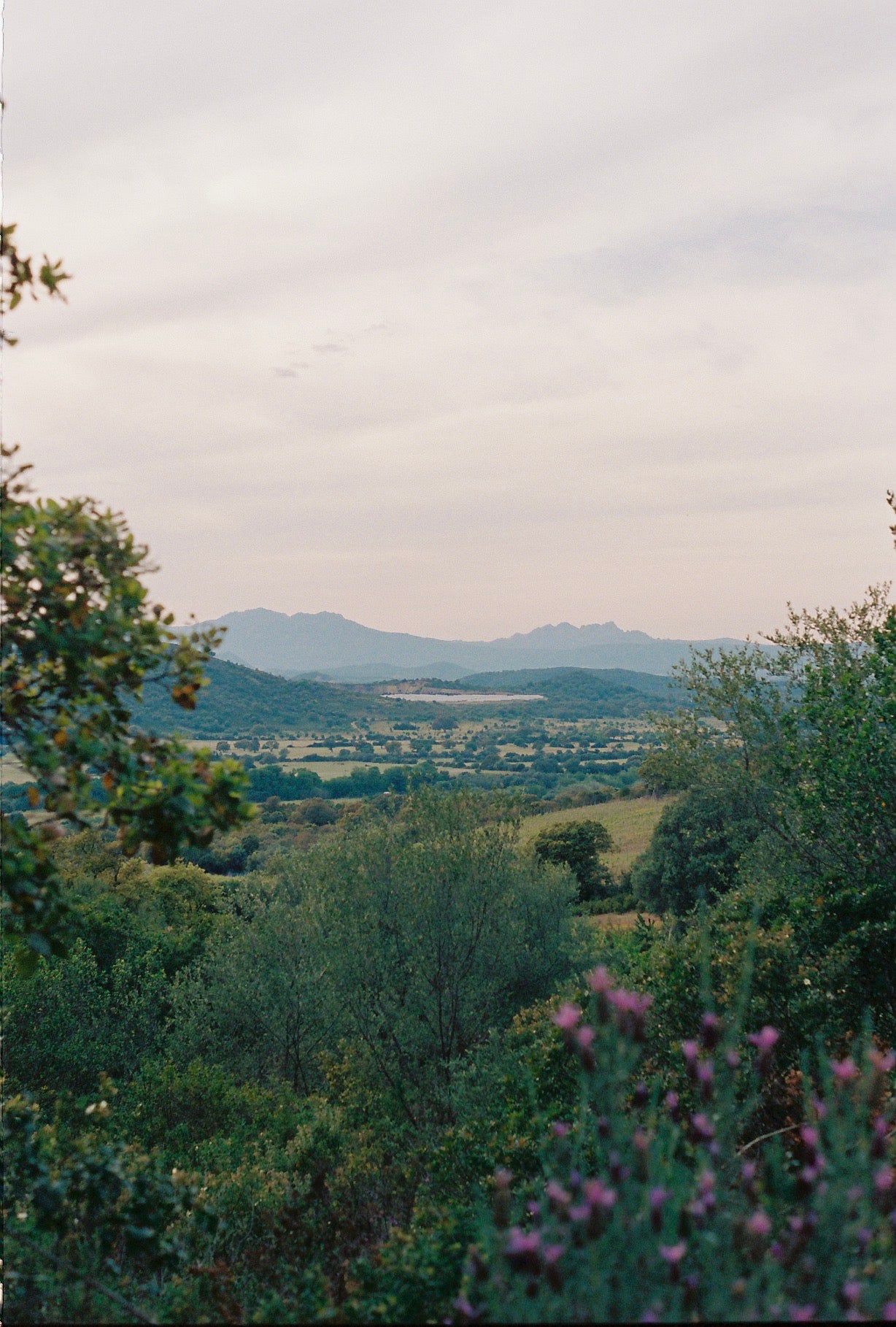 Sardinian Landscape